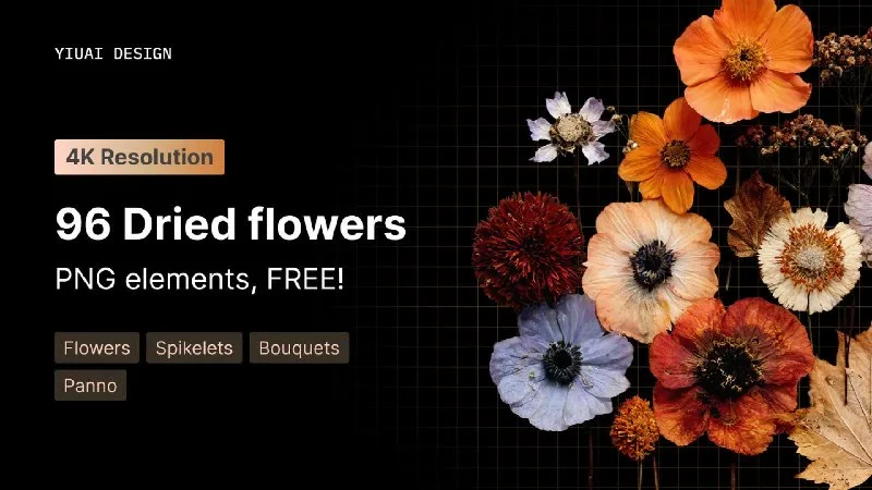 Превью публикации: FREE 96 Dried flowers